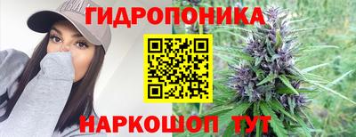 ПСИЛОЦИБИНОВЫЕ ГРИБЫ Заволжье