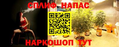 ПСИЛОЦИБИНОВЫЕ ГРИБЫ Заволжье