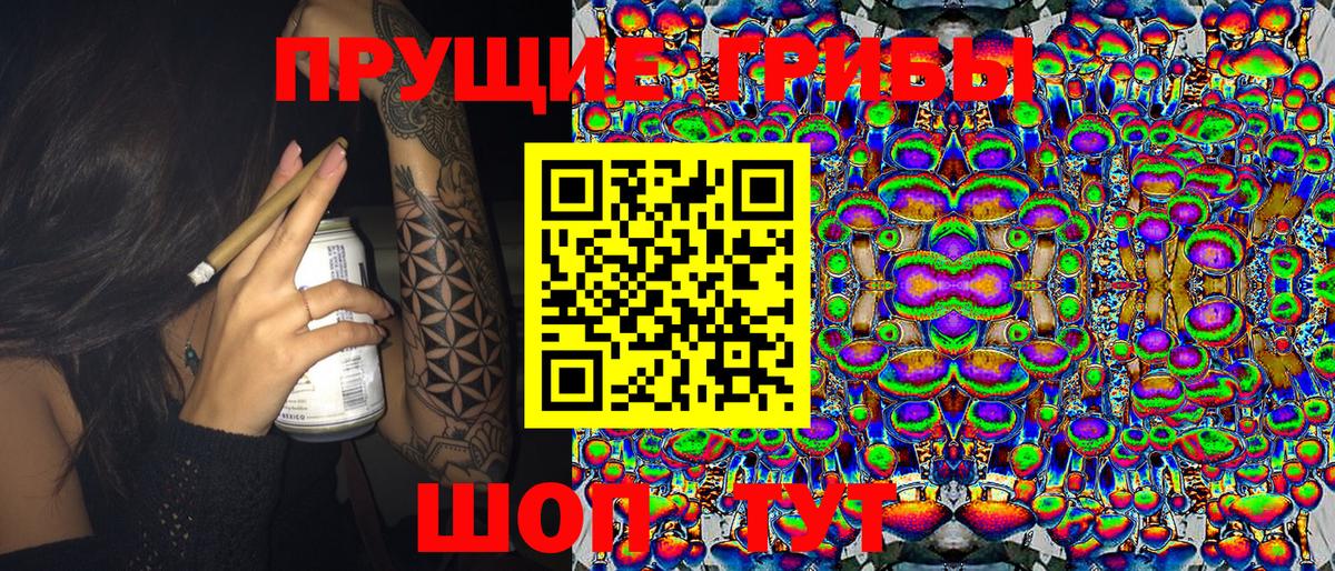 Луховицы  Псилоцибиновые грибы GOLDEN TEACHER  Вход с VPN 