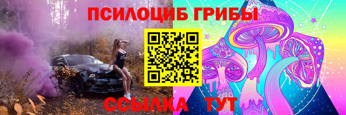Галлюциногенные грибы Psilocybe Луховицы